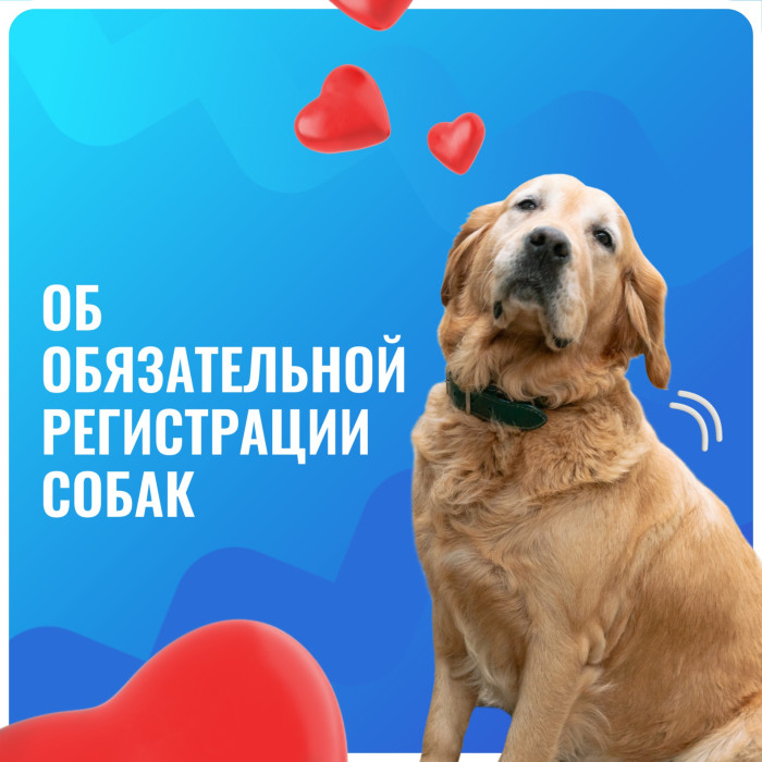 Уважаемые владельцы домашних животных!.